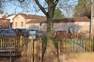 Espace canin du square Lamothe
