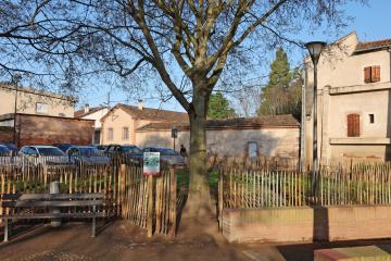 Espace canin du square Lamothe