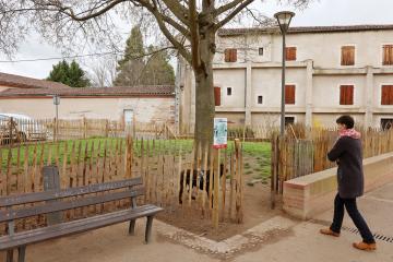 Espace canin du square Lamothe