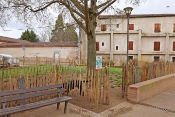 Espace canin du square Lamothe