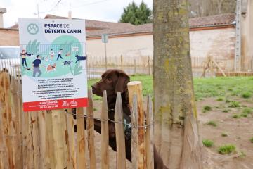 Espace canin du square Lamothe