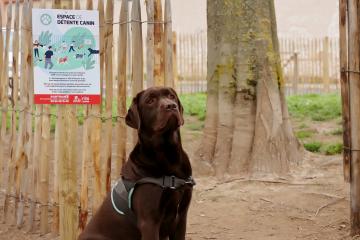 Espace canin du square Lamothe