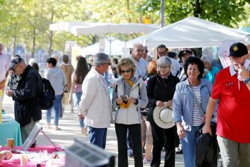 Fête des associations 2019