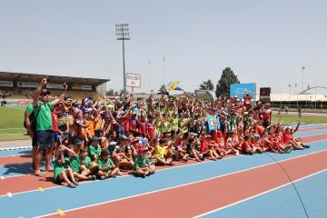 France - Pays de Galles XIII