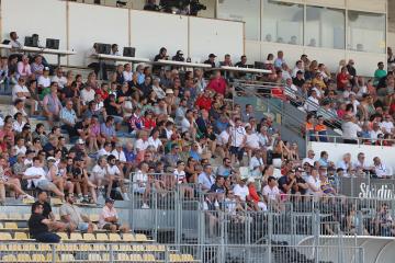 France - Pays de Galles XIII