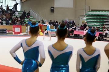 Gymnastique Salto