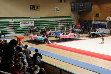 Gymnastique Salto