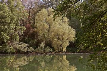 Je bouge avec ma ville - Cantepau