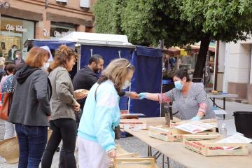 Les marchés de plein vent