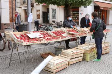 Les marchés de plein vent