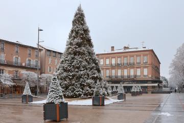 Albi sous son manteau de neige