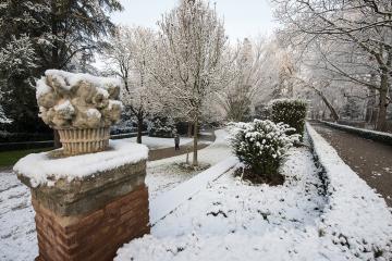 Albi sous son manteau de neige