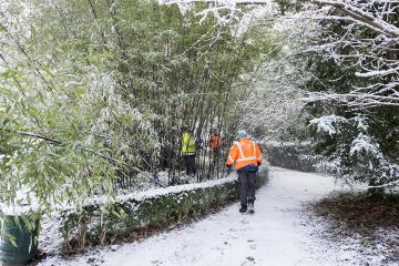 Albi sous son manteau de neige