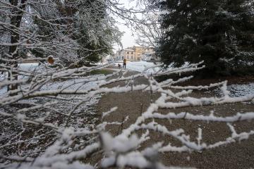 Albi sous son manteau de neige