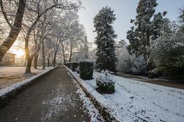 Albi sous son manteau de neige