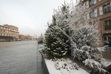 Albi sous son manteau de neige