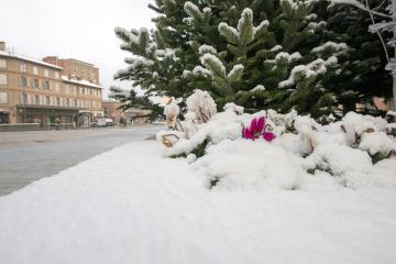 Albi sous son manteau de neige
