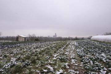 Albi sous son manteau de neige