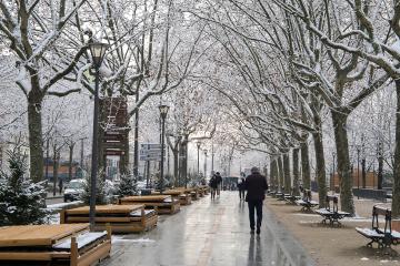 Albi sous son manteau de neige