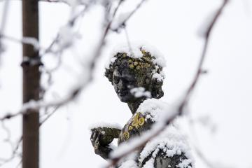 Albi sous son manteau de neige