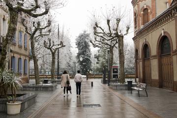 Albi sous son manteau de neige