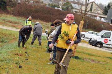 Plantation d'arbres à la Maison de quartier de Ranteil