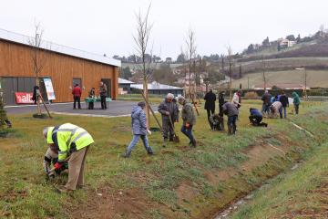 Plantation d'arbres à la Maison de quartier de Ranteil