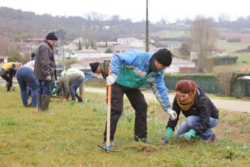 Plantation d'arbres à la Maison de quartier de Ranteil