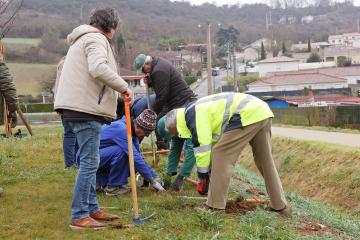 Plantation d'arbres à la Maison de quartier de Ranteil