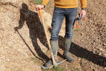 Au Breuil on plante ensemble des haies et de futurs arbres