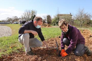 Au Breuil on plante ensemble des haies et de futurs arbres