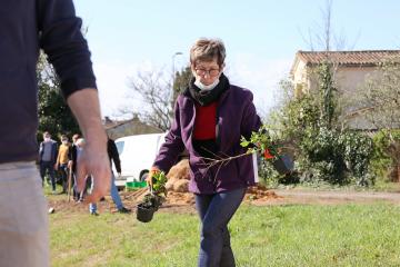 Au Breuil on plante ensemble des haies et de futurs arbres