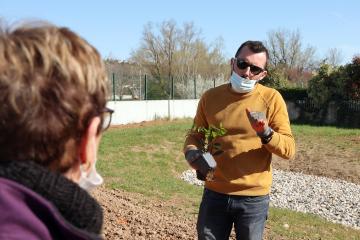 Au Breuil on plante ensemble des haies et de futurs arbres