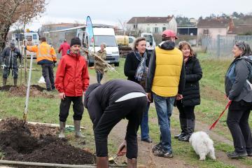 Plantation d'arbres rue Princeteau
