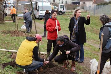 Plantation d'arbres rue Princeteau