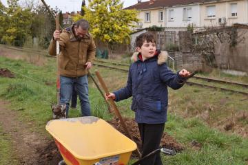 Plantation d'arbres rue Princeteau