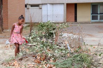 Printemps des cultures 2020