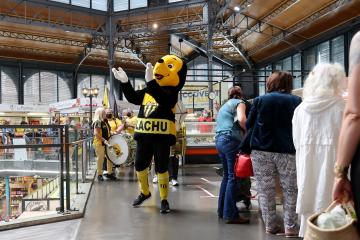 Les supporters soutiennent les équipes du SCA