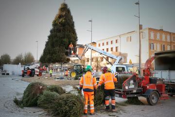 Démontage du sapin