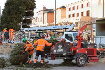 Démontage du sapin