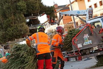 Démontage du sapin