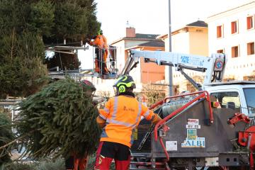 Démontage du sapin