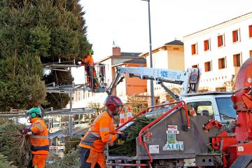 Démontage du sapin