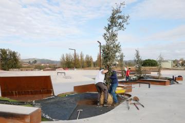 Plantation d'arbres au Skate Park 