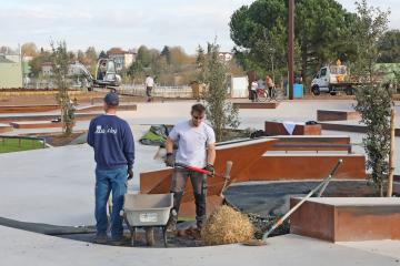 Plantation d'arbres au Skate Park 