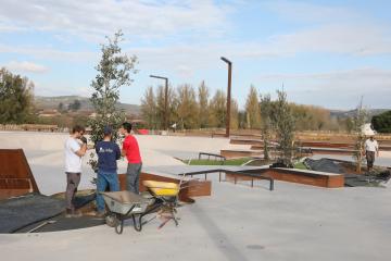 Plantation d'arbres au Skate Park 