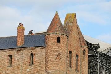 Travaux Musée Toulouse Lautrec