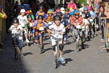 Albi Trot Tour 2019