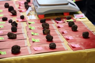 Marché aux truffes 2021