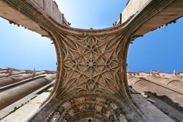 La cathédrale Sainte-Cécile